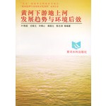 黄河下游地上河发展趋势与环境后效——“八五”国家重点科技攻关项目“黄河治理与水资源开发利用”系列专著